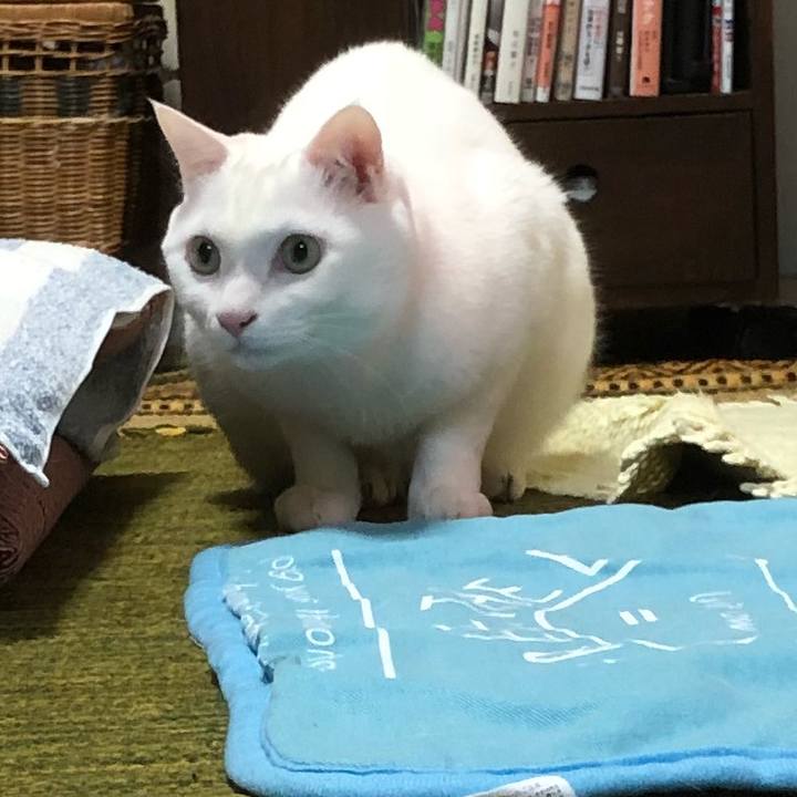 C109c6e0 84ed 4c8d 9751 f74e7aaf2709 1523880931767