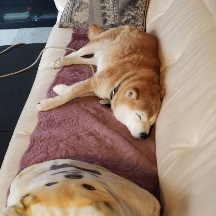 C109c7bc 5964 4751 b63e 413ab1172a27 1701212939516