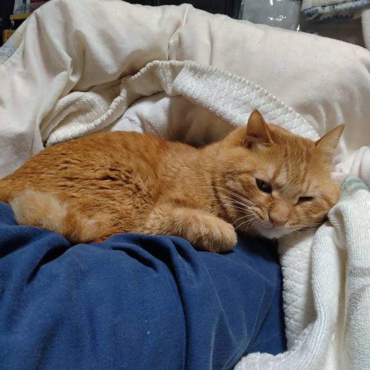 C109ca18 efff 4df8 9acf 65b633cbe922 1706441004171