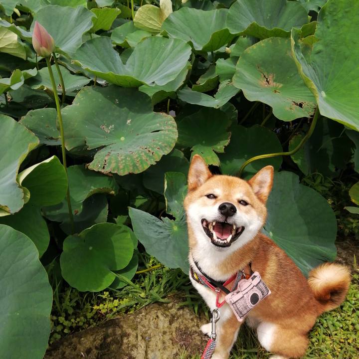 C109ccd5 6014 499f 9428 0dcbe65b4ae1 1595125711660