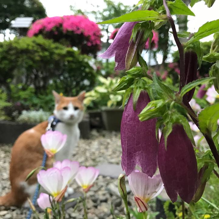 C109d795 5f67 4ddd 91a0 f8642459af3b 1528450267108