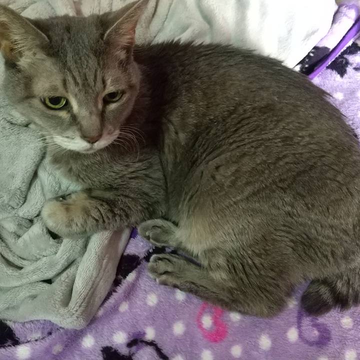 C109e3ea 7b8c 4375 b0bf d826becf6bfa 1697603595349