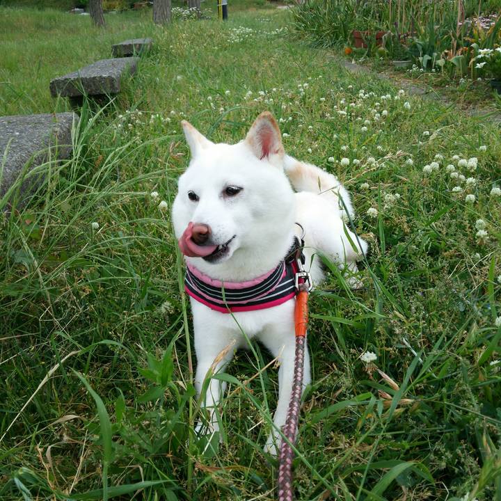 C109f1a9 6bd4 4aaf a88a 228819fdd7b9 1559012363029