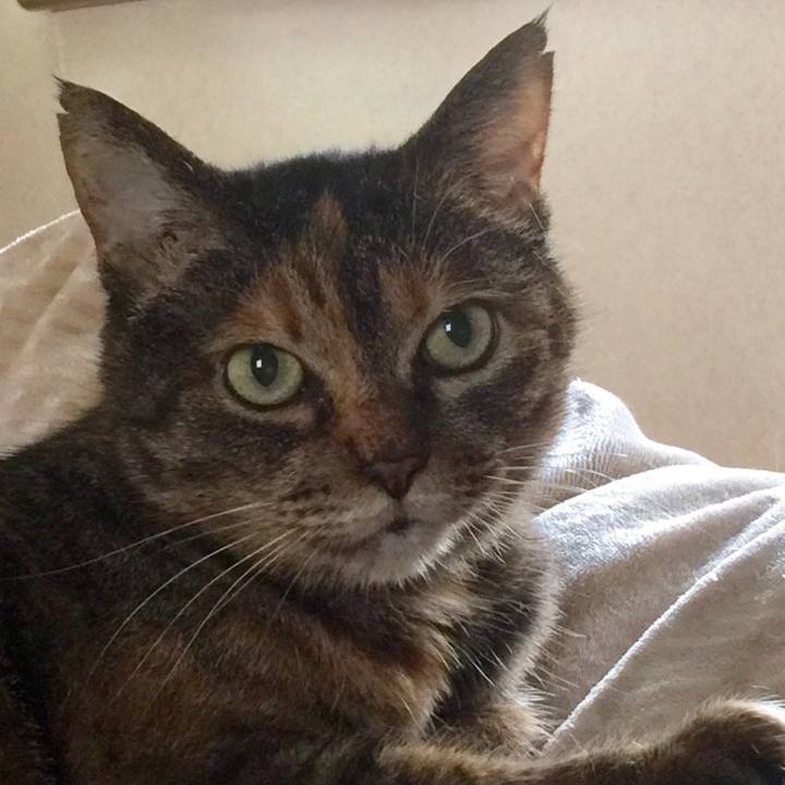 C109fe51 32d4 4873 8f01 5d5b8534f0df 1663729212920