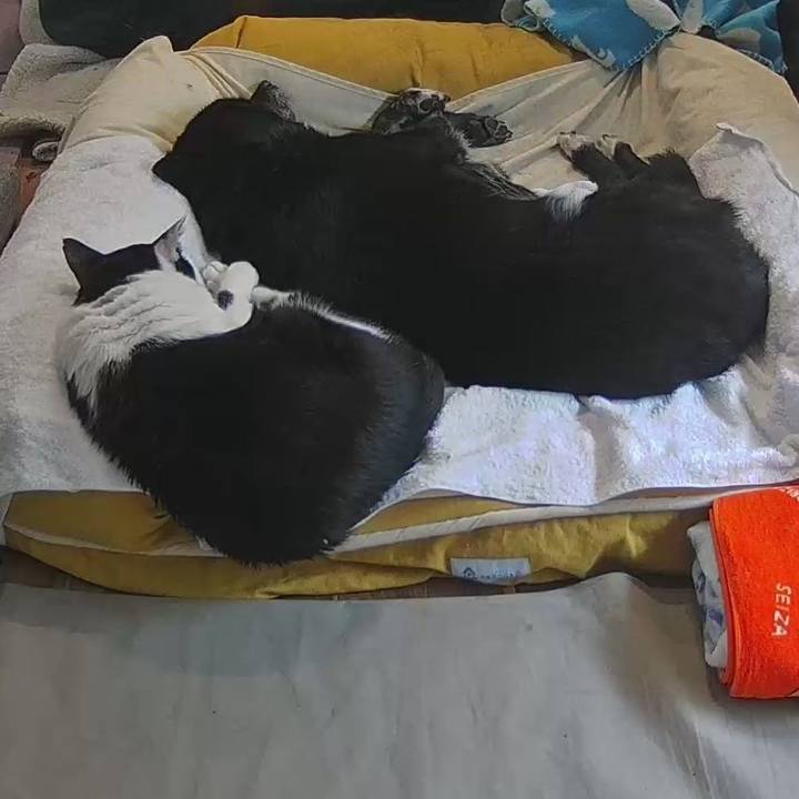 C10a4ad5 1790 4376 812a 6a84539805b3 1774446945796