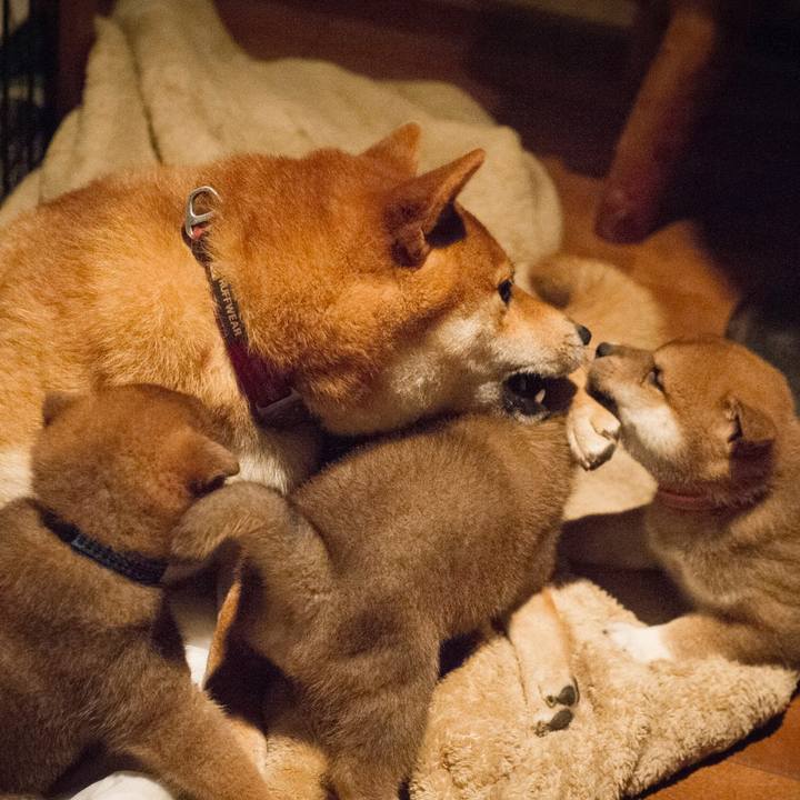 C10a6b79 11fa 48da b2b9 9fbcae27fd7b 1523164271148