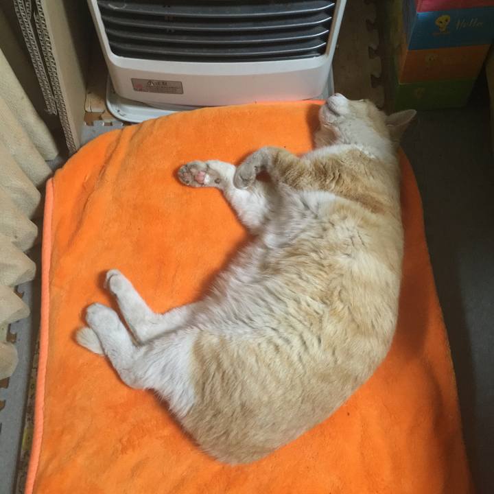 C10ac63e 6b92 4752 82d6 486f1b64979d 1521495830543