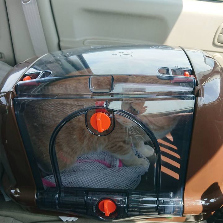 C10ad864 631d 4dfb 98f9 26729247ac76 1588468383305