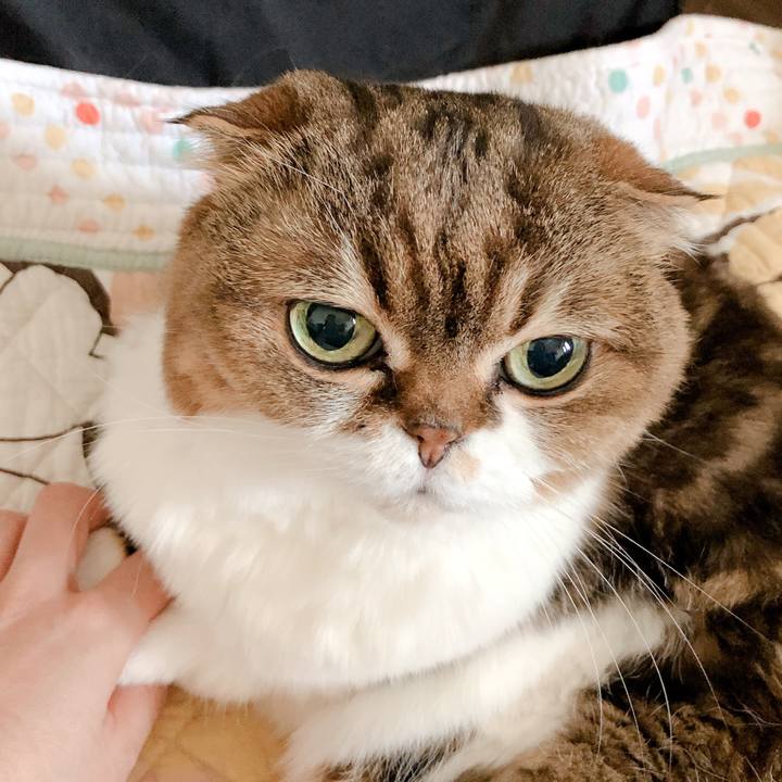 C10afd41 a675 4c6d b13f e99f8c1a785e 1558587590354