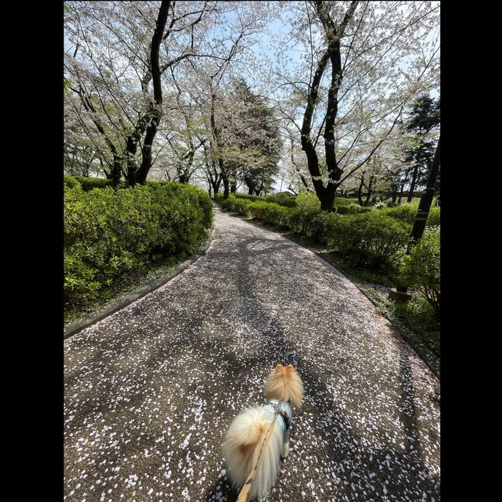 C10b1b3b 937c 4fd5 97fe 2e67e1f75bbb 1744254945153