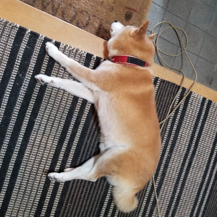 C10b365a 773b 49e3 8192 5cec447376f8 1734313811612