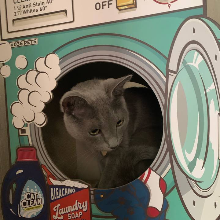 C10b4773 b4da 4c7b 865f 2afc76e85d10 1663715173952