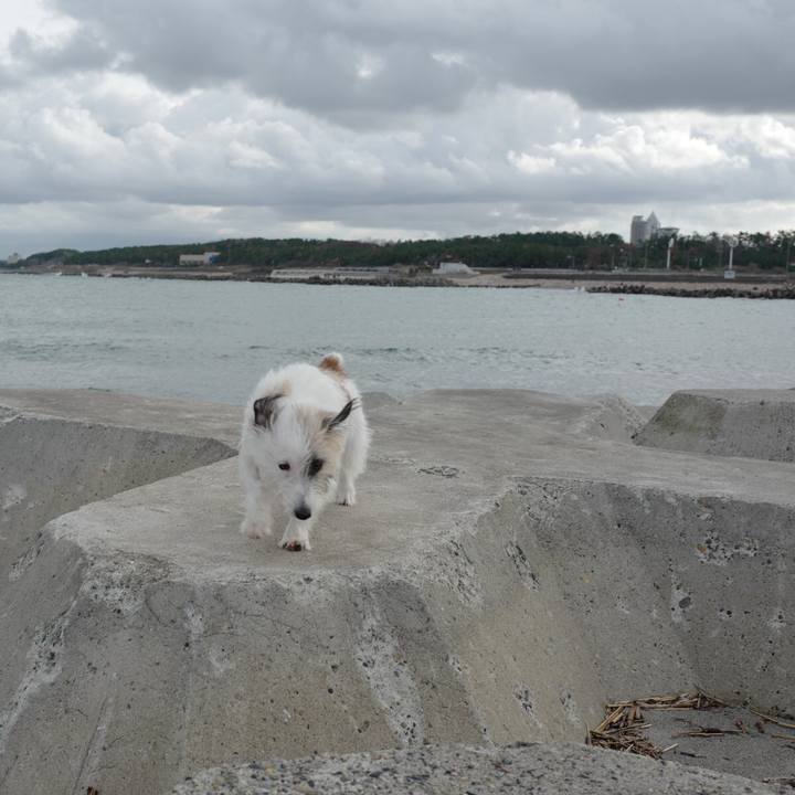 C10b5290 dac6 49ef 8e10 7e87fcc47e2d 1571544970920