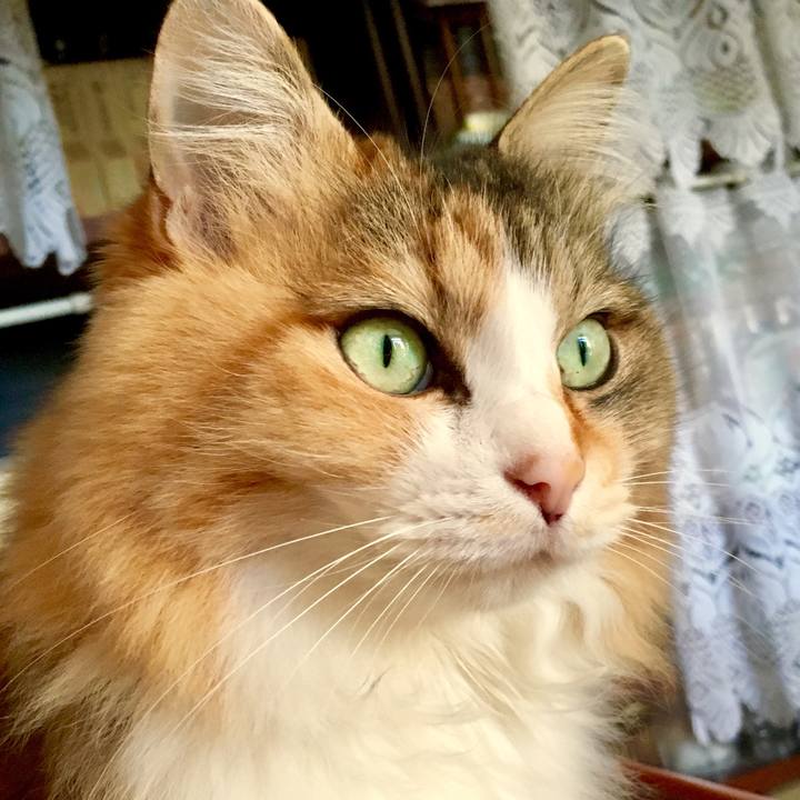 C10bb2a3 b9a1 45f8 9168 ed5127466ccd 1557439166735