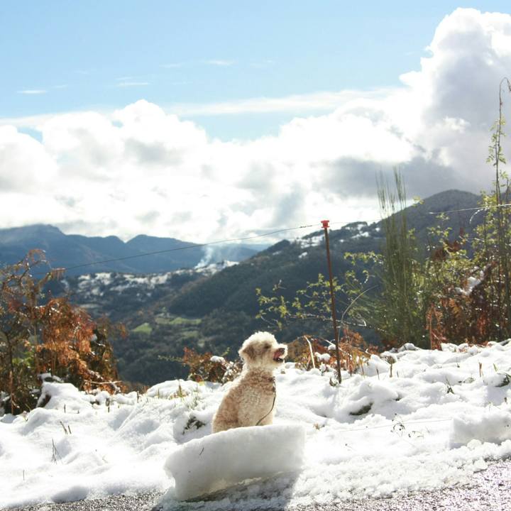 C10bc802 194c 4772 9a8d 07dcaa43cdc7 1541362688960