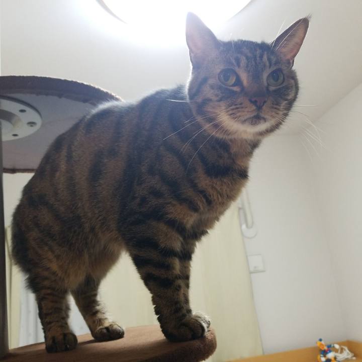 C10beb10 5094 469d ae99 99e0d5d06deb 1583751637482