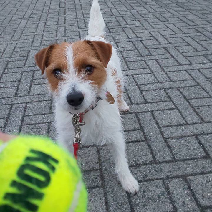 C10c1d6e 9e70 4159 8b67 ae1706667a49 1550825168160