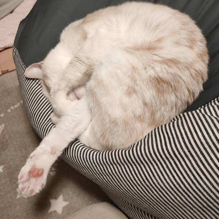 C10c3a97 f9fb 4a3b 861e 62cea4533a77 1683799996758