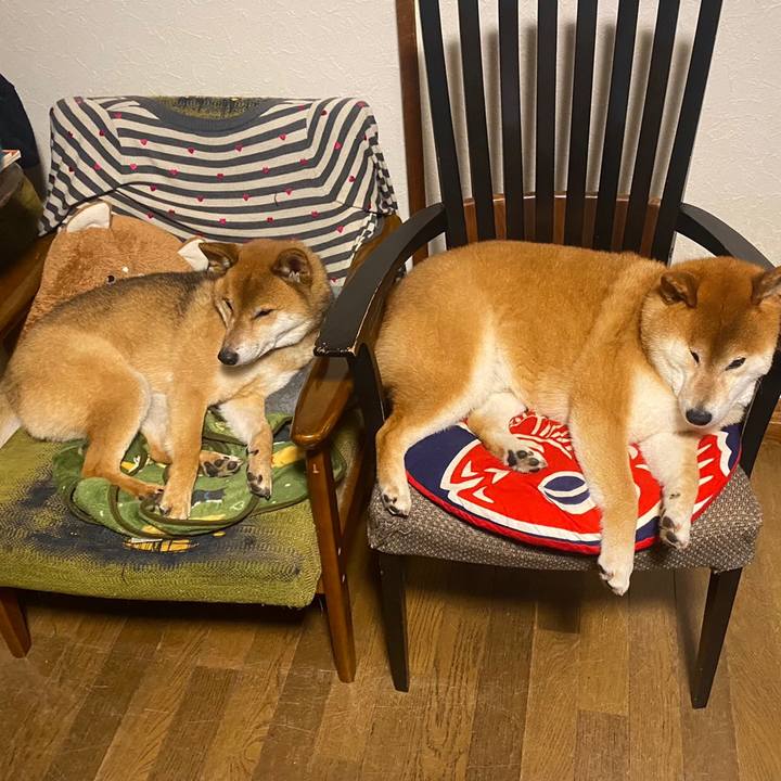 C10c9b44 d8ed 4058 bf2b 1cecb81377c2 1624833943670