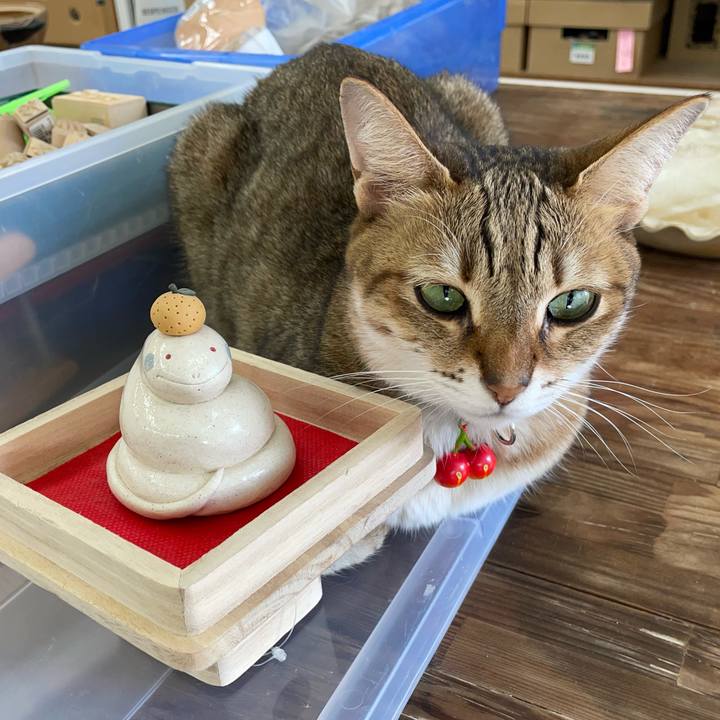 C10c9c43 cd8e 4c60 9288 e862dbe3174d 1731575122556