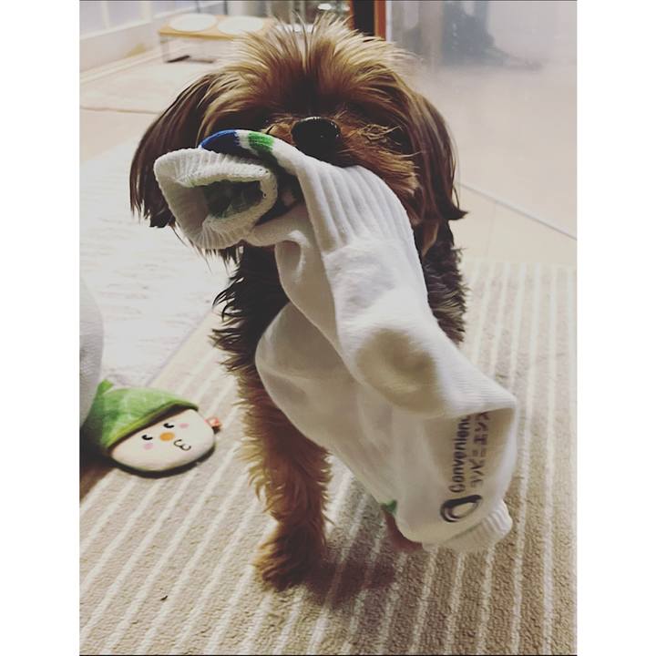 C10d4628 443f 42c3 a63e 3833c010dfee 1676279092923