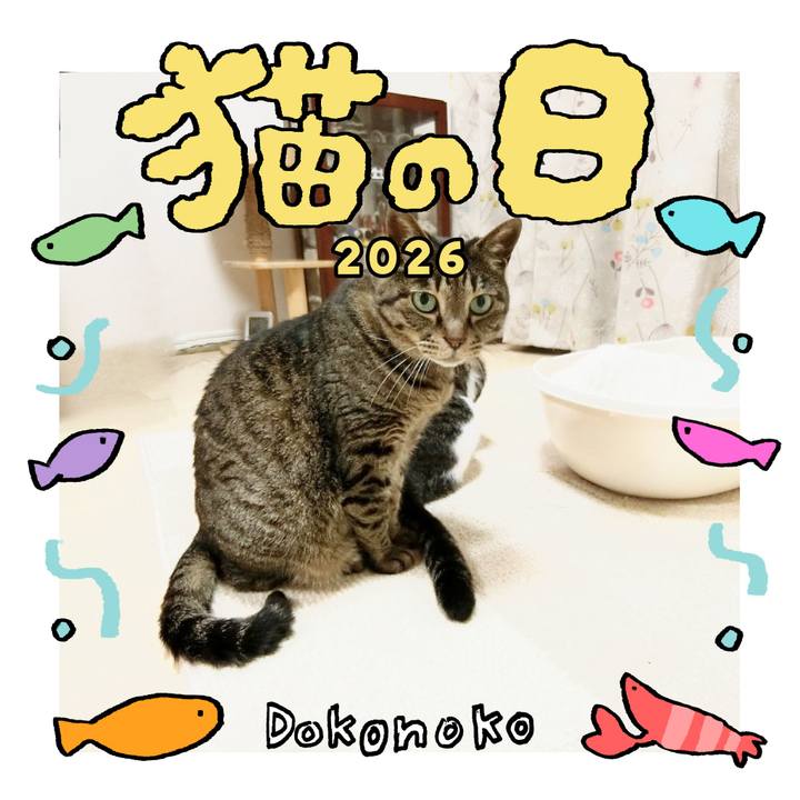 C10d547b f19d 4875 b160 c815c3711942 1771730126916