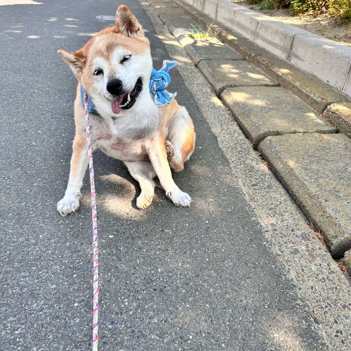 C10d7dda 7b2b 4d25 8f72 ddc3337b522d 1755649018605