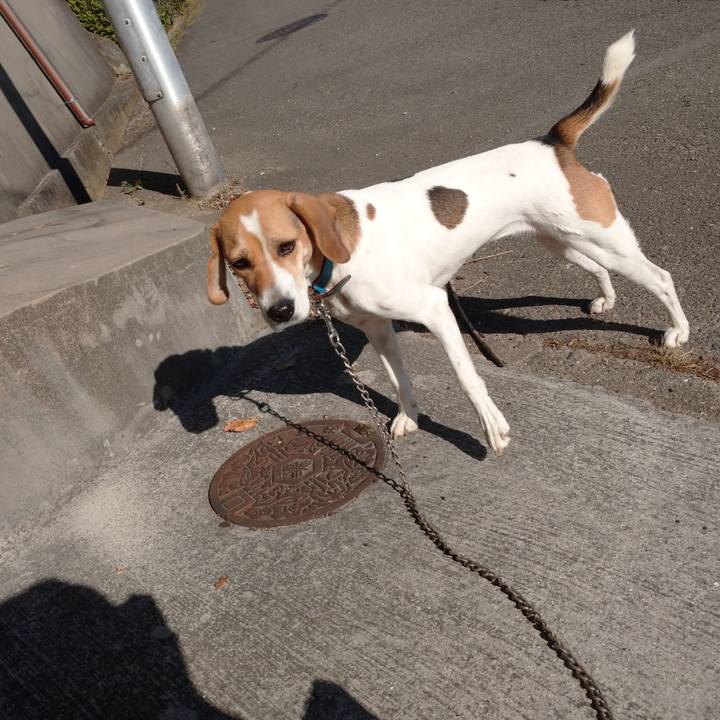 C10d81ff c359 4248 b8b8 4a7b9e3692b1 1605938213837