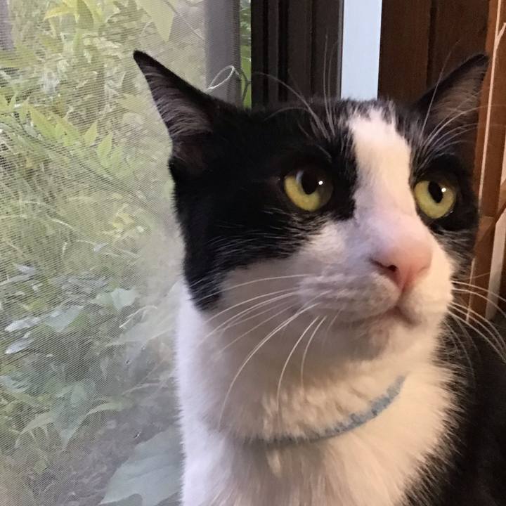 C10d83b9 c3fc 40cd b0a7 e0f0dc8047ef 1684324535275