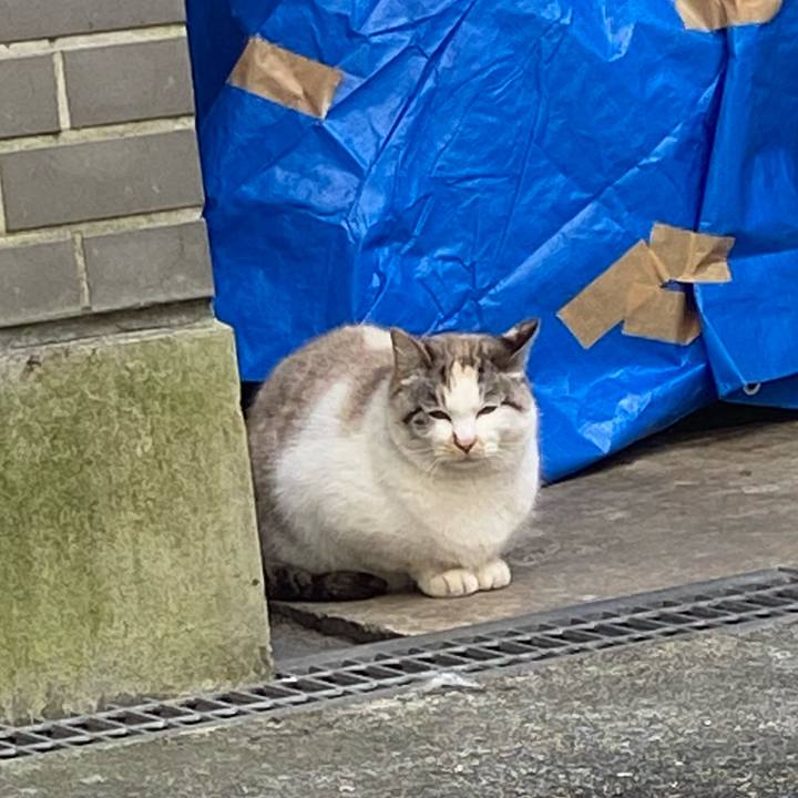 C10dbc9b 0de4 4792 8858 0f77708d0e82 1583044324528