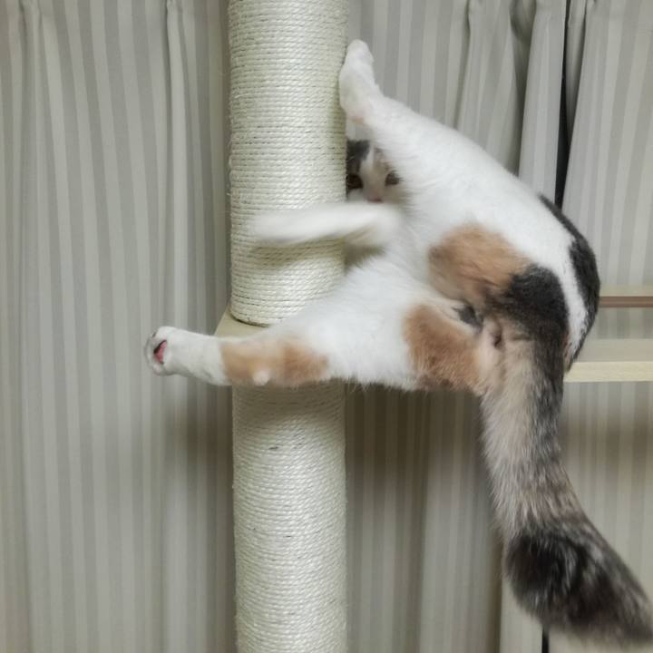 C10dc184 afb8 433f 9c5e 2b22d6f17031 1518577617230