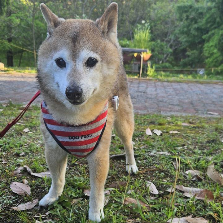 C10ddba2 b30a 4634 a306 fd60849c9967 1747360825007