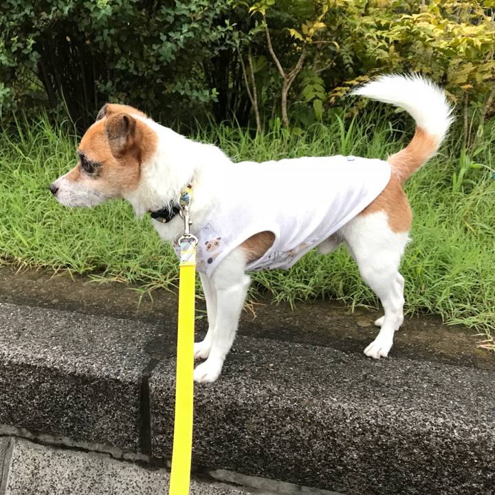 C10e200e 98da 4f26 b552 724cc71b8c47 1536877491992