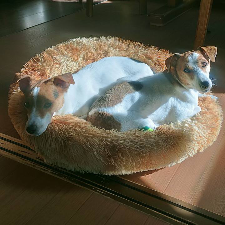 C10e28c1 14b5 4ea8 9af5 13deab7c4276 1763456048653