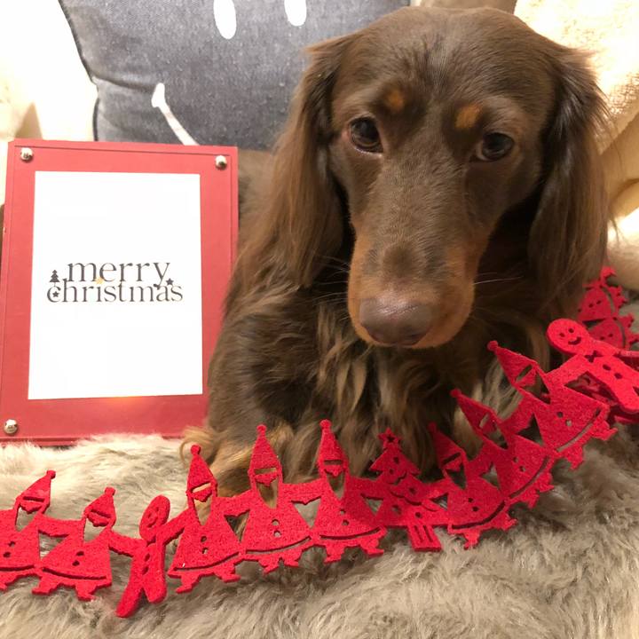 C10e32d5 2ce3 420c 8ca0 1961fce81da5 1514158324306