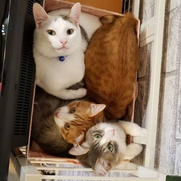 C10e418d da53 4a21 a314 330ddd82ac7e 1518423798303