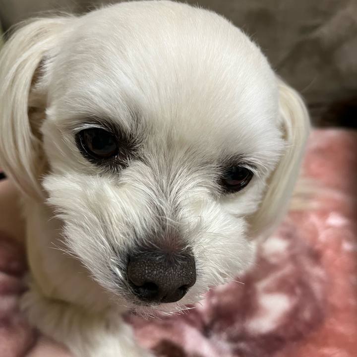 C10e5b85 473c 4e7c a3c2 037efefbc88b 1681124709029