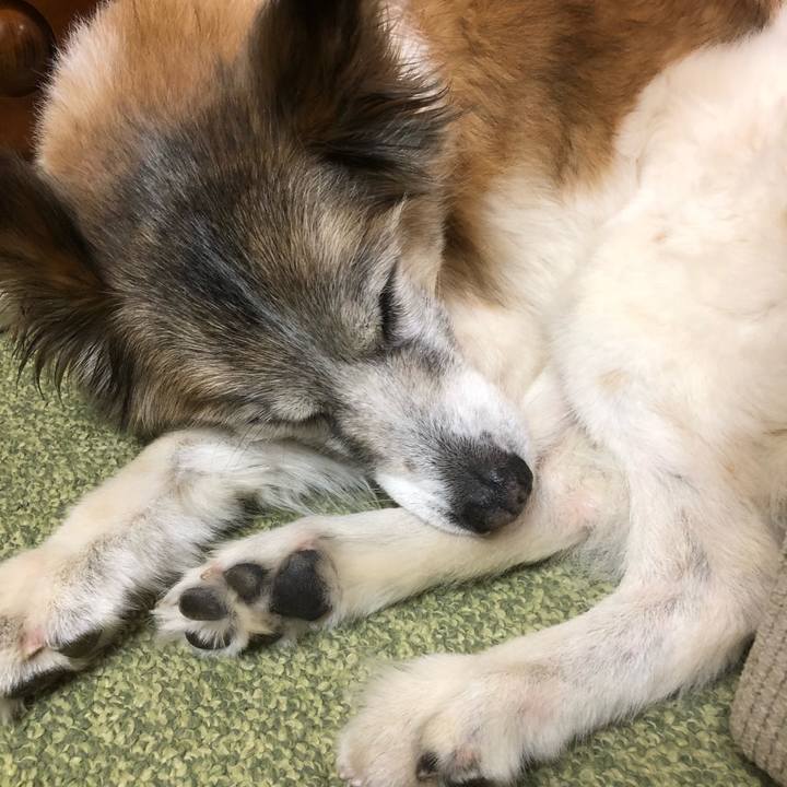 C10e6ba9 5bef 46eb 8fee c316f6ee309d 1538387035320