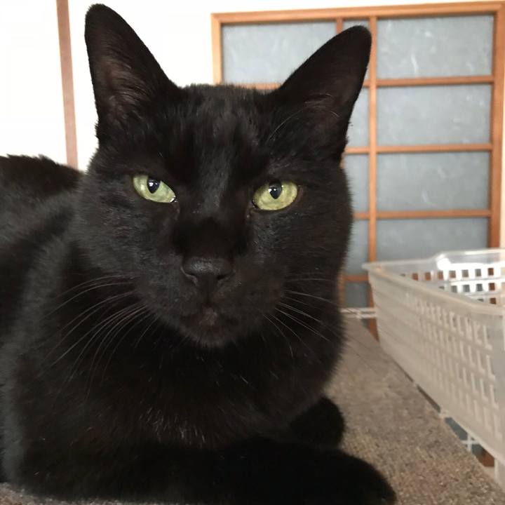 C10e8455 f487 4964 95d4 a27745e01314 1517622304396