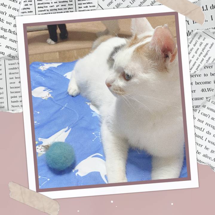 C10e94d3 14ee 4057 bc7a 37f367925a63 1596884456378