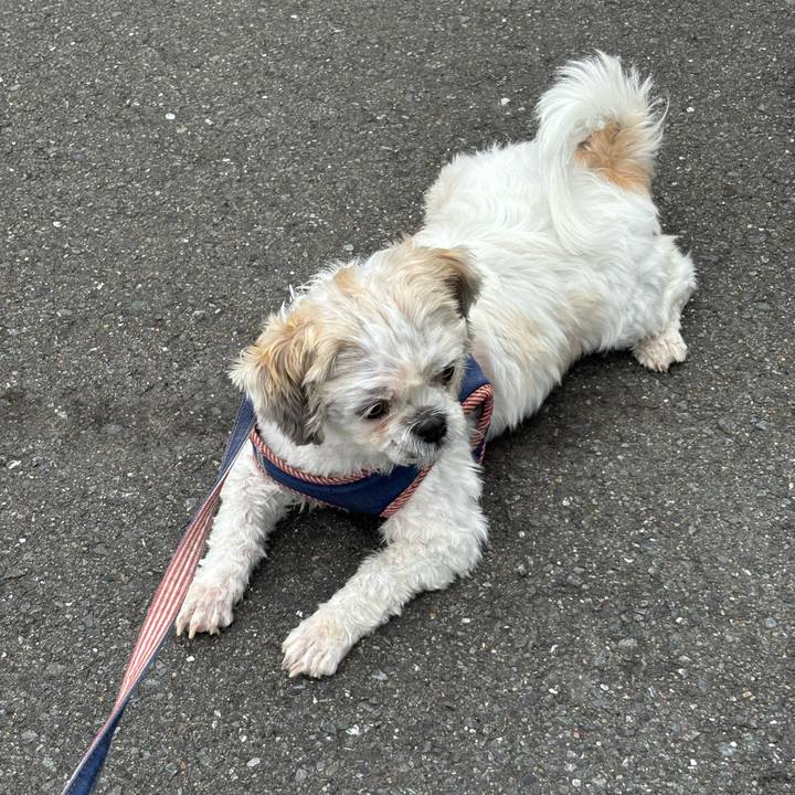 C10ed588 9059 4822 b4d8 596cec4dbec5 1762379417898