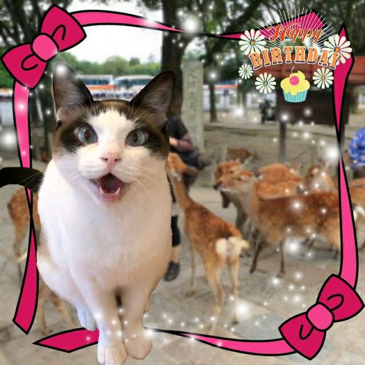 C10f319f 8bb9 4846 b0e4 1b47b375a956 1555631134350