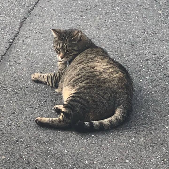 C10f5cb0 f143 46fc baea 62ae53455dd0 1522804170194