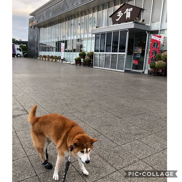 C10f66cf 0d1e 46c0 bd5c 9d8a9d366228 1600739197552