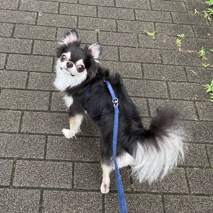 C10fafcd 7f71 41f0 bef2 d5fc68c11286 1658067653461