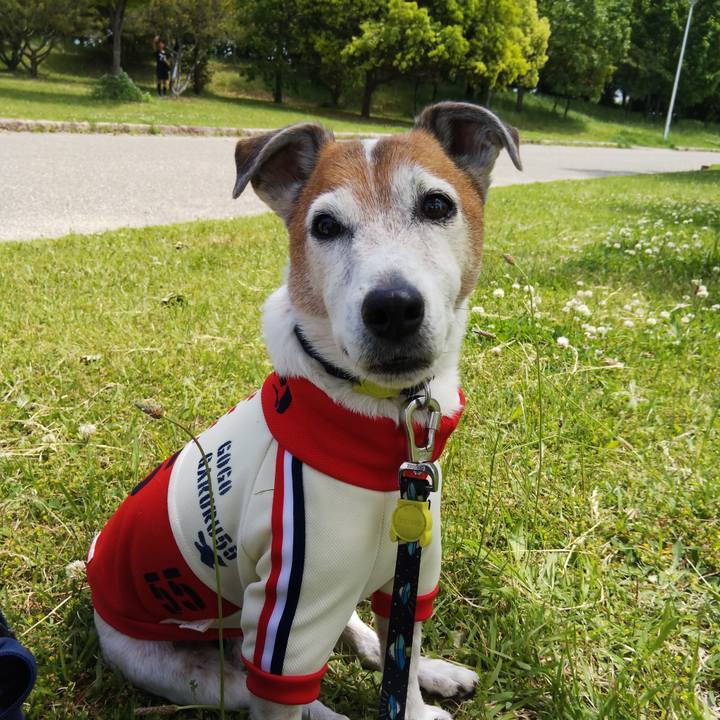 C10fdbca 6593 4be4 9f03 dcea49d7d45f 1525586740762