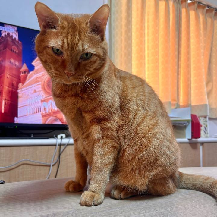 C11041cd eeb3 44fc ae84 48ed5a18877d 1756694934548