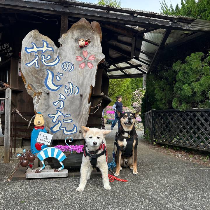 C1106fa5 65f0 48f5 8af2 6dddc9f07a45 1746530016097