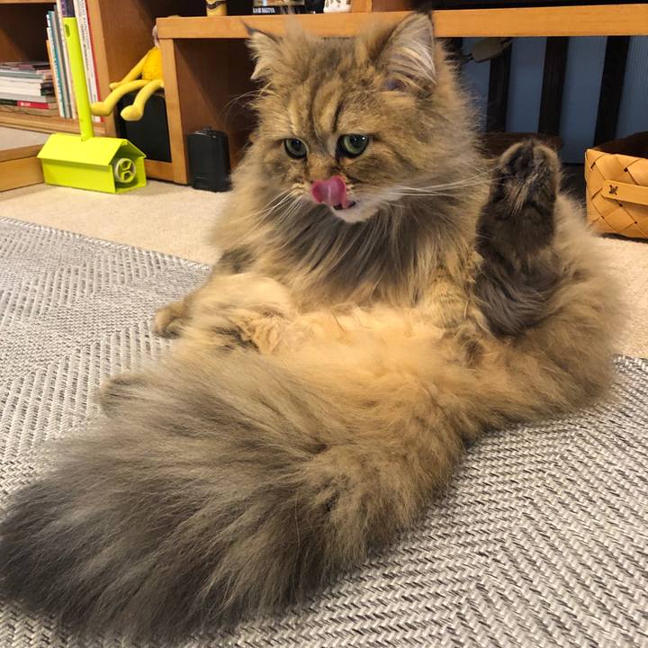 C1107b36 2207 4970 b022 f798ac93e0a8 1553904234597