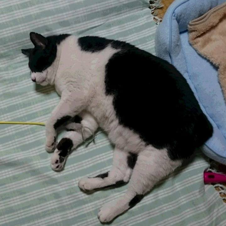 C11086f7 924e 4290 ac20 e232436dcc5d 1703323303211